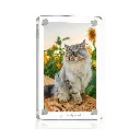 fridge magnet 2.webp